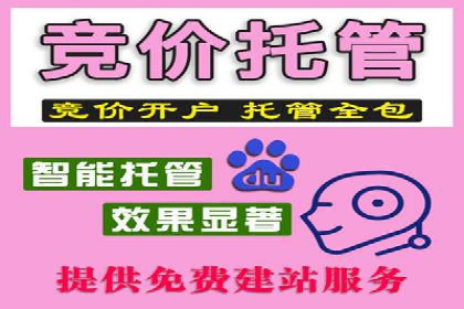 案例解读：竞价广告创意策划